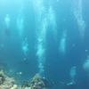 Picture taken during the dive