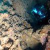 Picture taken during the dive