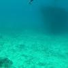 Picture taken during the dive