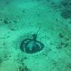 Picture taken during the dive