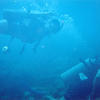 Picture taken during the dive