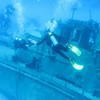 Picture taken during the dive