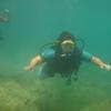 Picture taken during the dive