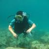 Picture taken during the dive