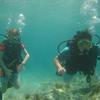 Picture taken during the dive