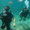 Picture taken during the dive