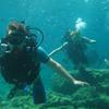 Picture taken during the dive