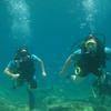 Picture taken during the dive